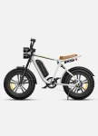 Engwe M20 Double battery