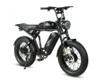 M20-III High-Torque Electric Bicycle