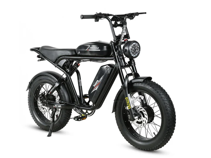 M20-III High-Torque Electric Bicycle