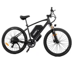 ChamRider DM427 E-bike