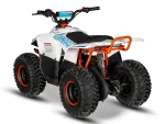 Kayo Fox E Quad