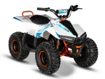 Kayo Fox E Quad