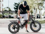 LOTDM200-II Fat Tire Off Road E-bike