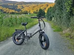 LOTDM200-II Fat Tire Off Road E-bike