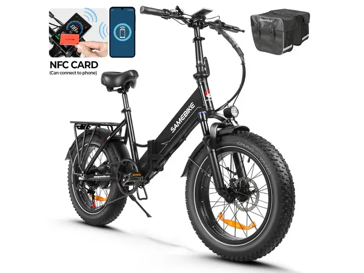LOTDM200-II Fat Tire Off Road E-bike