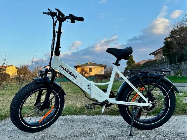 LOTDM200-II Fat Tire Off Road E-bike