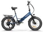 LOTDM200-II Fat Tire Off Road E-bike