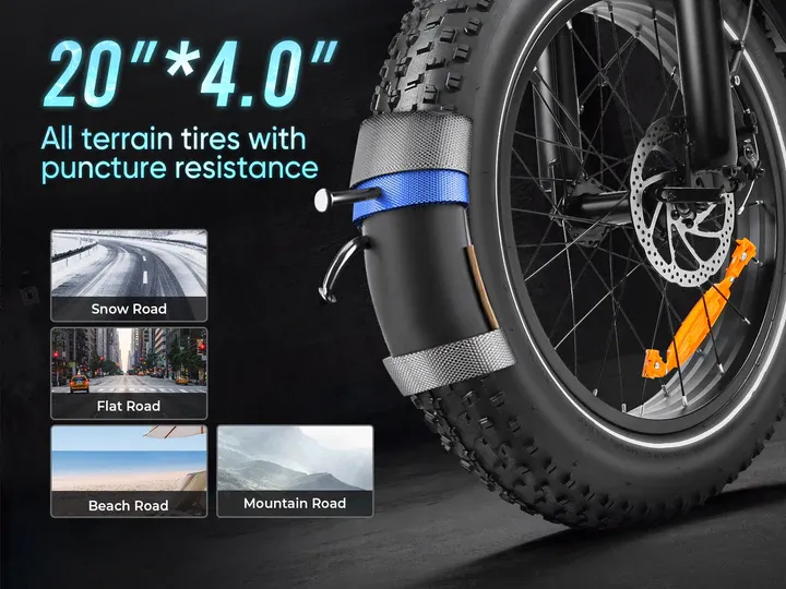 LOTDM200-II Fat Tire Off Road E-bike