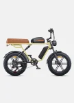 Engwe M1 Double battery