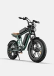 Engwe M20 Double battery