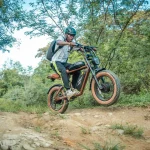 M20-III High-Torque Electric Bicycle