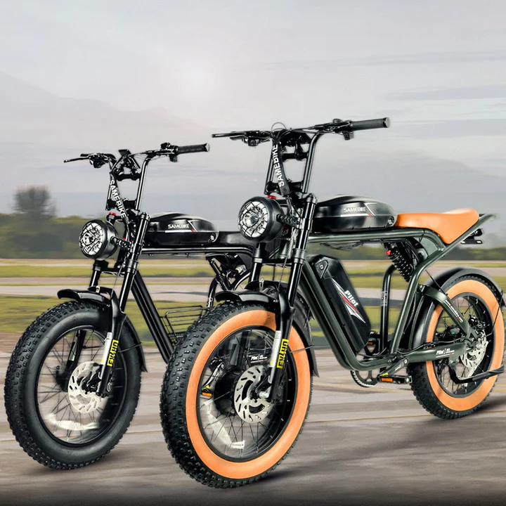 M20-III High-Torque Electric Bicycle