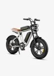 Engwe M20 Double battery