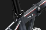 PVY LIBON