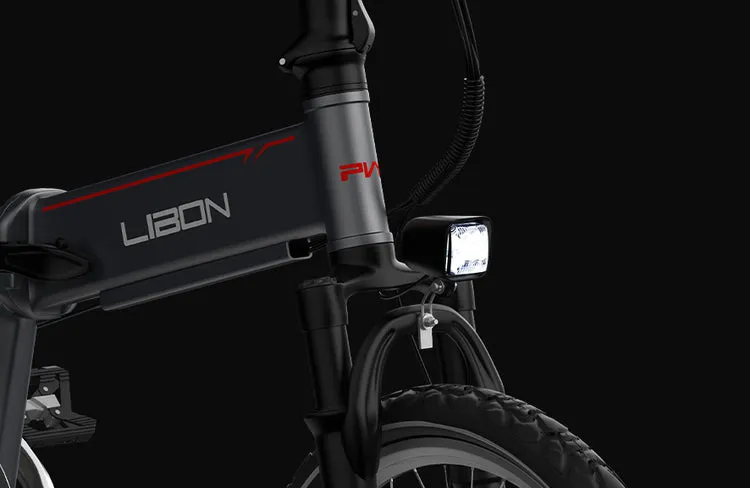 PVY LIBON