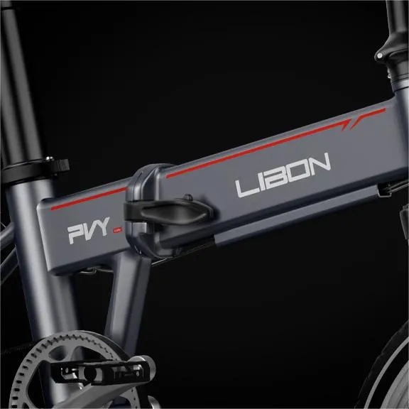 PVY LIBON
