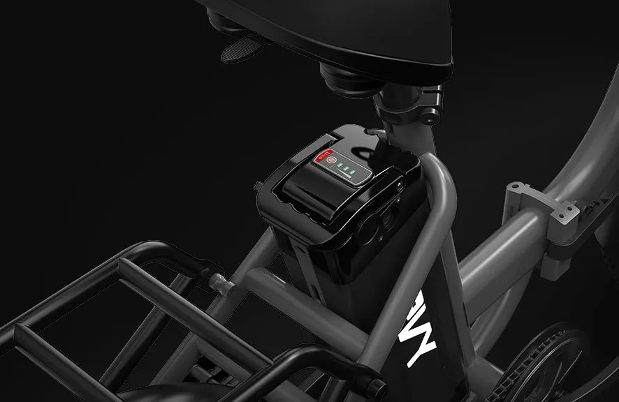 PVY LS20 – 250W Fat Tire Electric Bike