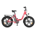 PVY LS20 – 250W Fat Tire Electric Bike