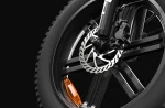 PVY LS20 – 250W Fat Tire Electric Bike