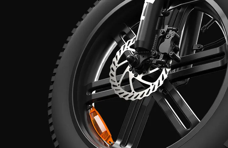 PVY LS20 – 250W Fat Tire Electric Bike