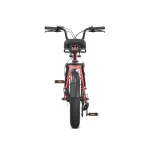 PVY LS20 – 250W Fat Tire Electric Bike