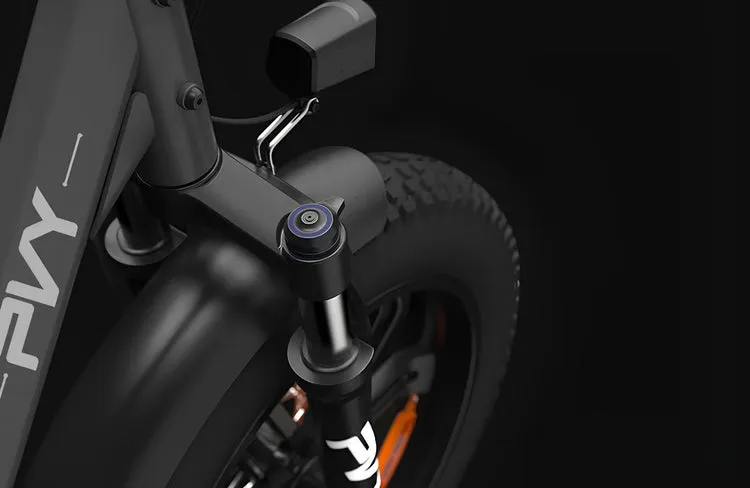 PVY LS20 – 250W Fat Tire Electric Bike