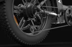 PVY LS20 – 250W Fat Tire Electric Bike