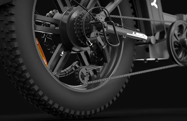 PVY LS20 – 250W Fat Tire Electric Bike