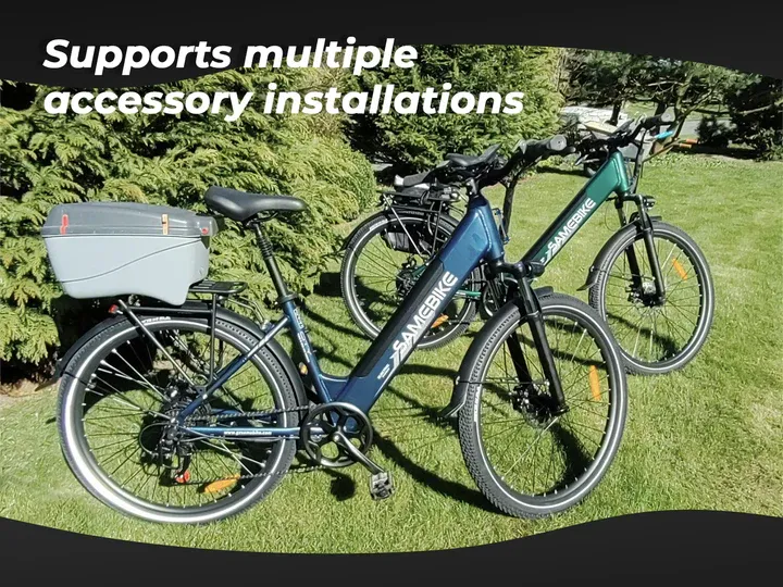 RS-A01 Pro Commuter E-Bike
