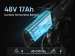 RS-A02 Plus Fat Tire Off Road Ebike