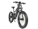 RS-A08-II High-performance Fat Tire Mountain E-Bike