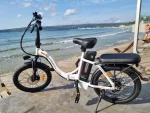 CY20 250W Portable Folding E-Bike