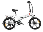 20LVXD30-II 250W Folding Electric Bike