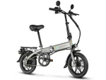 YINYU14 250W Compact Folding E-Bike