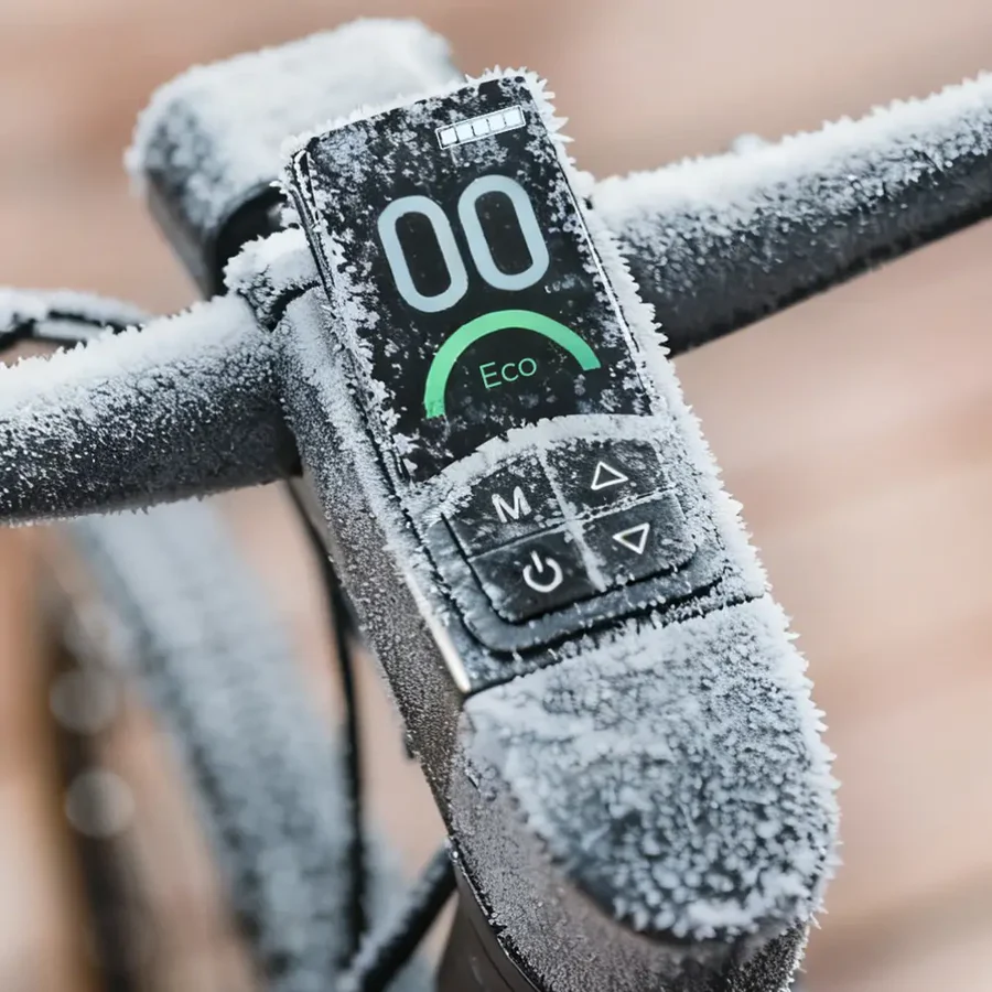 Fiido C21 E-Gravel & City E-Bike