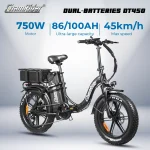 ChamRider DT450 Dual Battery
