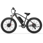 LANKELEISI MG740PLUS Dual Motor Off-Road Electric Bike