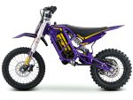 Ebox V3 60R Purple/Gold