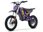 Ebox V3 60R Purple/Gold