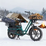 Fiido T2 Longtail Cargo E-bike